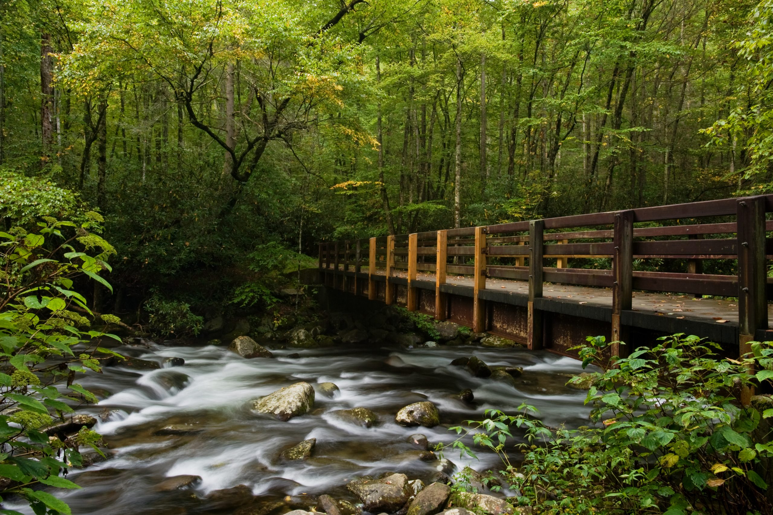 The 15 Best Trails for Gatlinburg Hiking in the Smokies (2023)