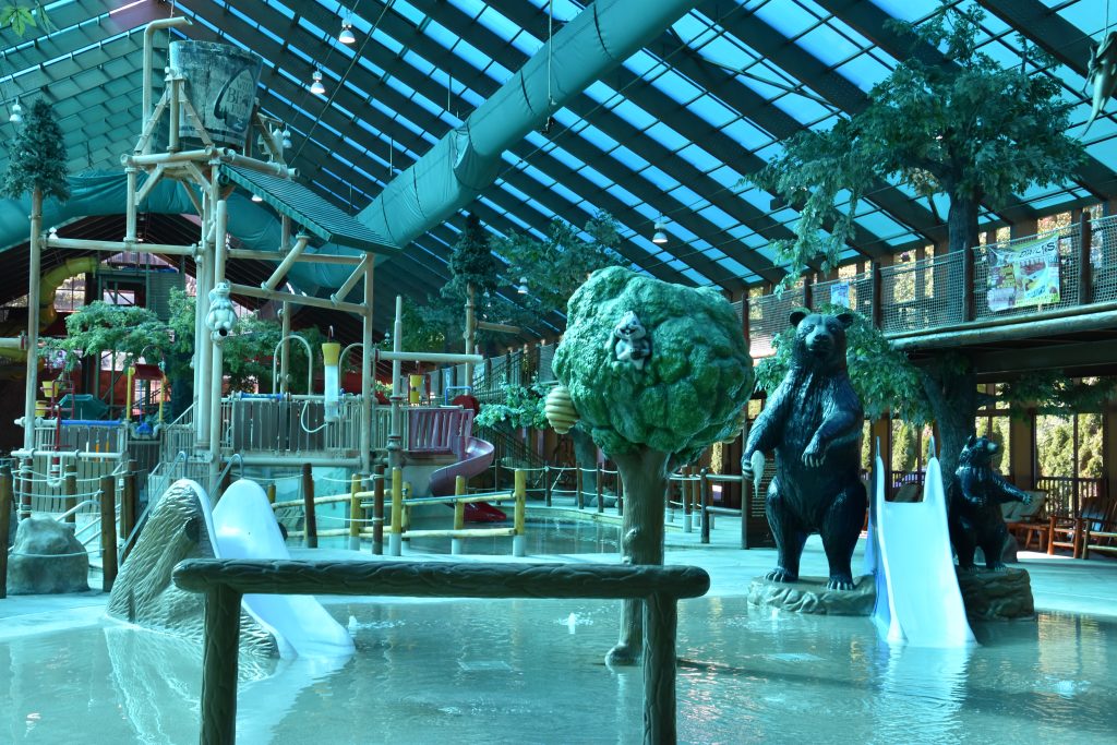 image of the inside of wild bear falls water park