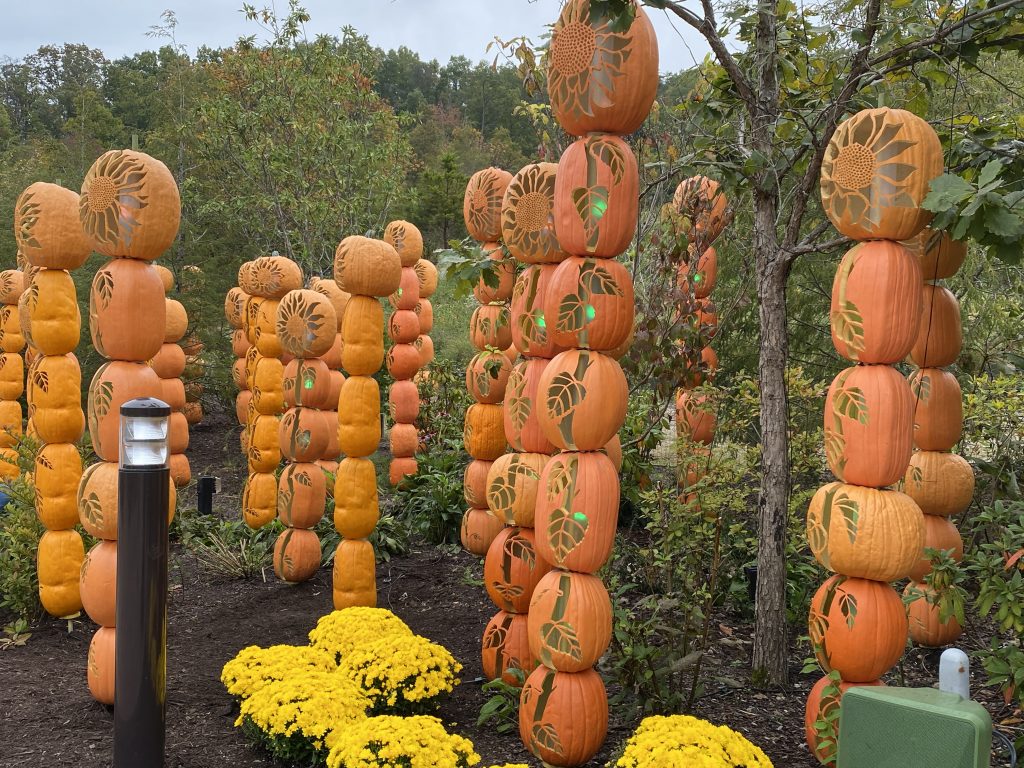 harvest festival decorations in wildwood grove