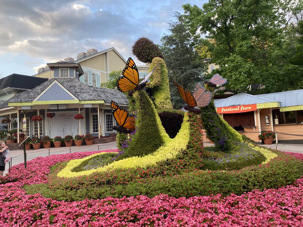 photo of dolly's butterfly garden