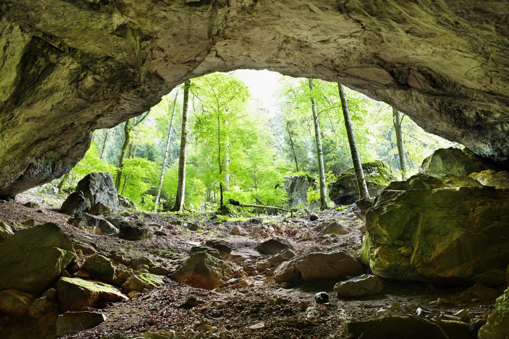 view from inside a cave looking out into the forest