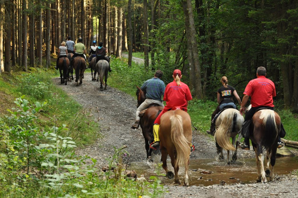 a group horseback riding through the forest