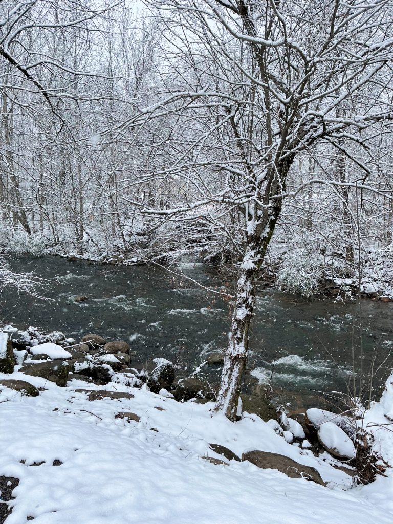 picture of snow covered scene in the great smoky mountains