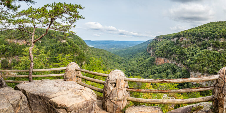 Best Hiking in Chattanooga: Top Trails and Scenic Routes