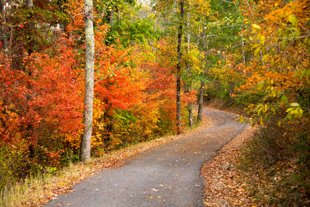 Walking trail near Chattanooga in the fall